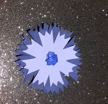 image bleuets